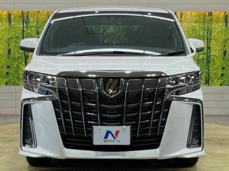 ALPHARD-15