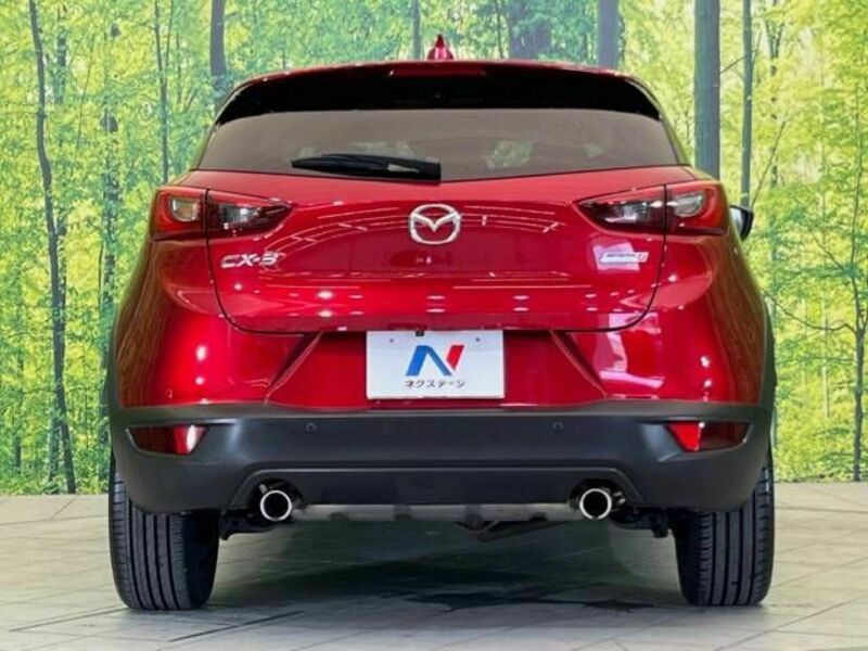 CX-3-15