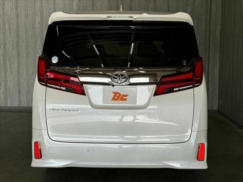 ALPHARD-11