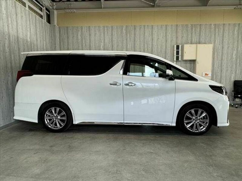 ALPHARD-13