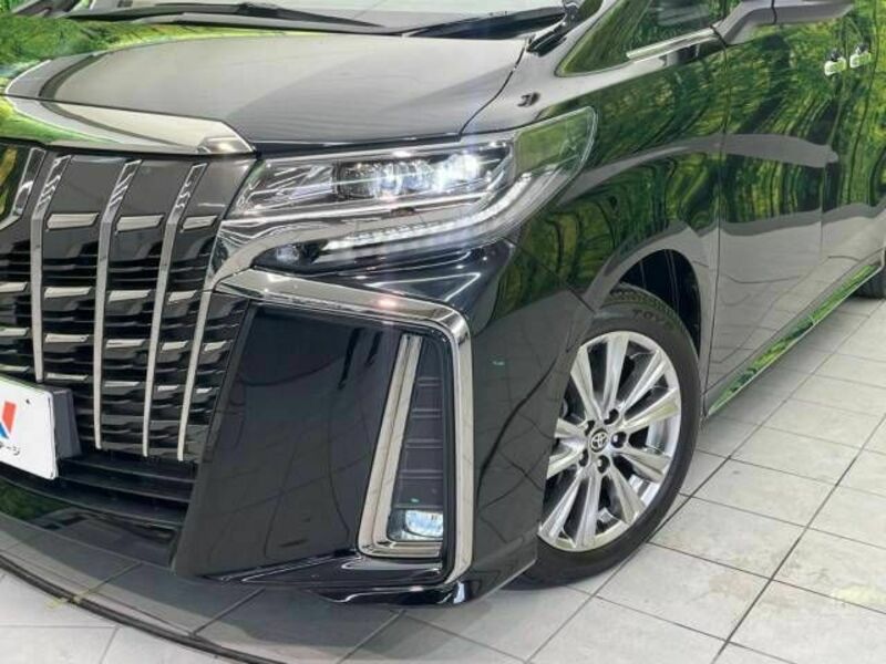 ALPHARD-13