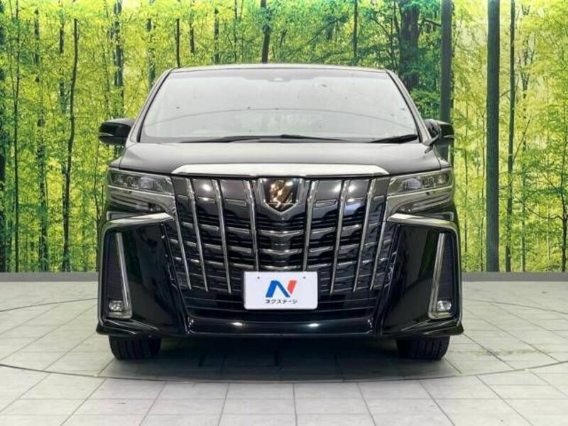 ALPHARD-15