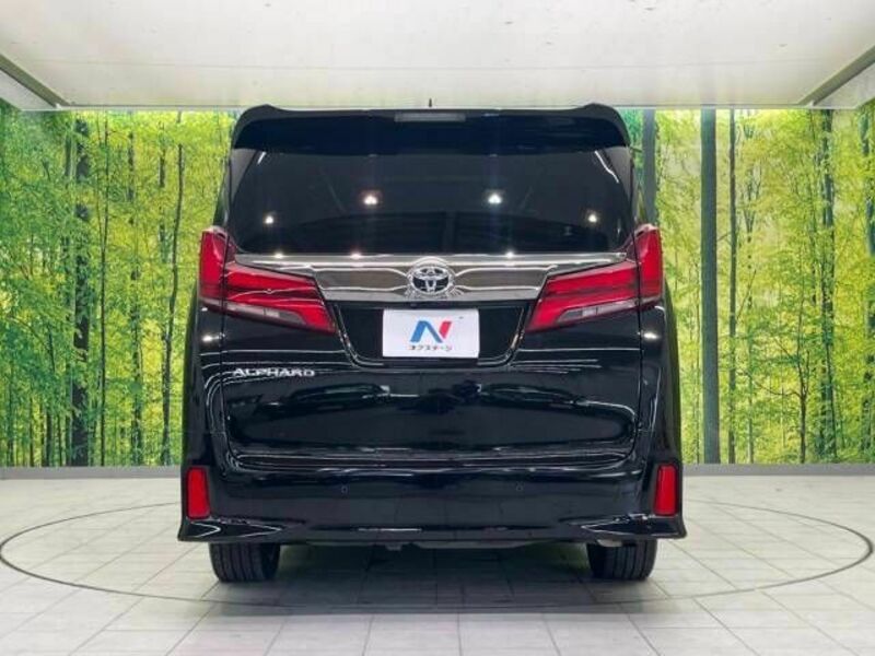 ALPHARD-16