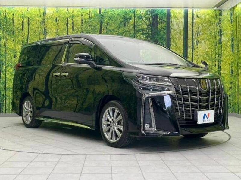 ALPHARD-17