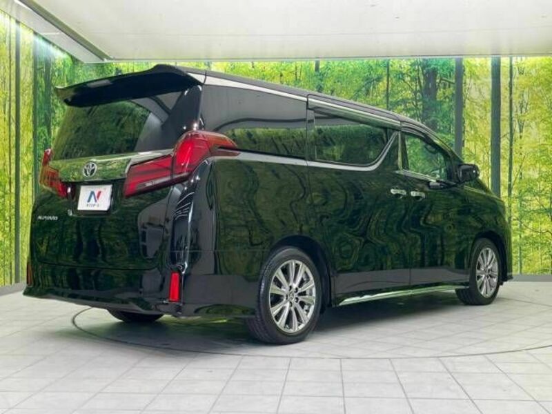 ALPHARD-18