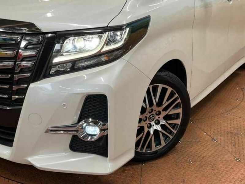 ALPHARD-12