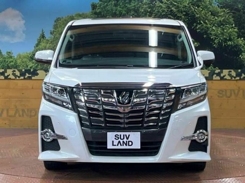 ALPHARD-14