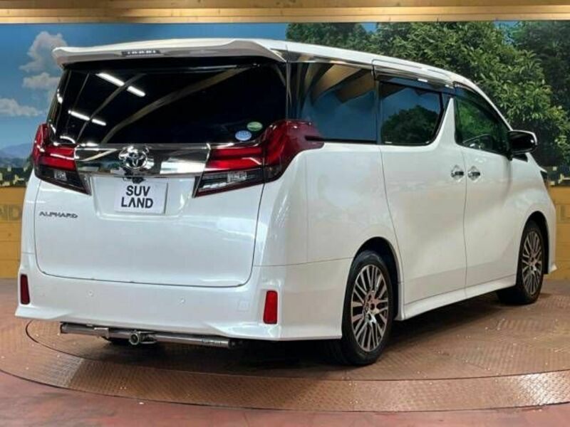 ALPHARD-17