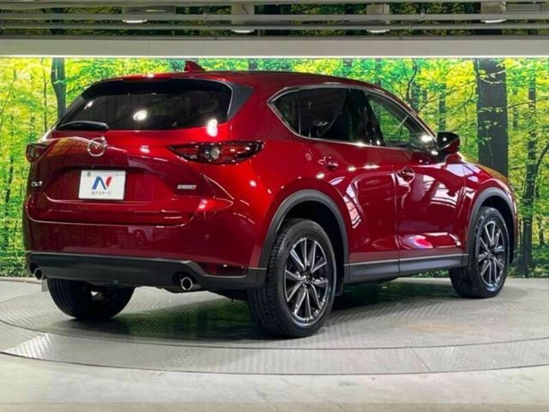 CX-5-17