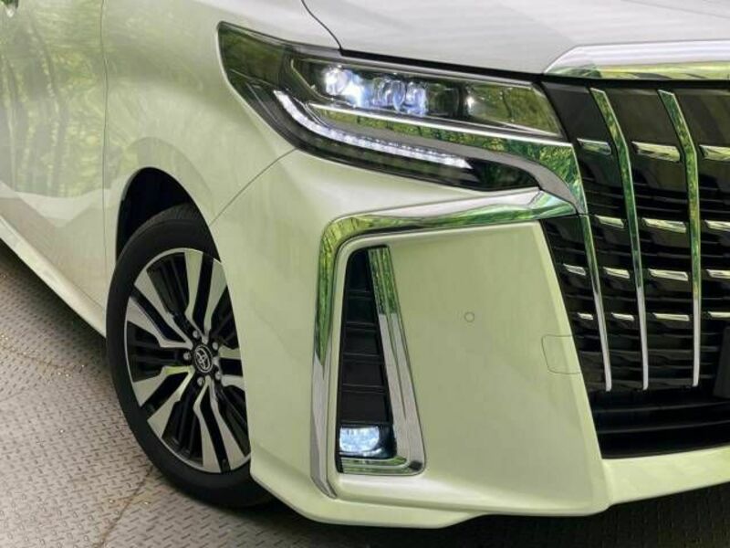 ALPHARD-13