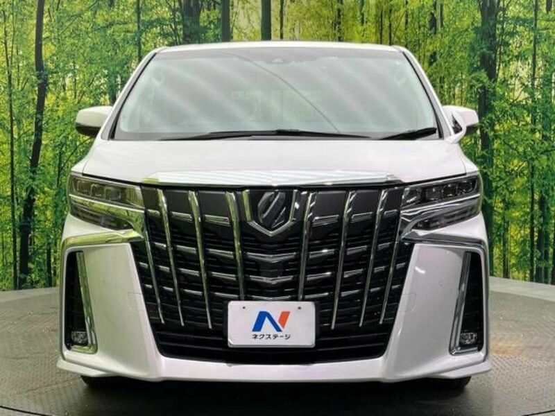 ALPHARD-15