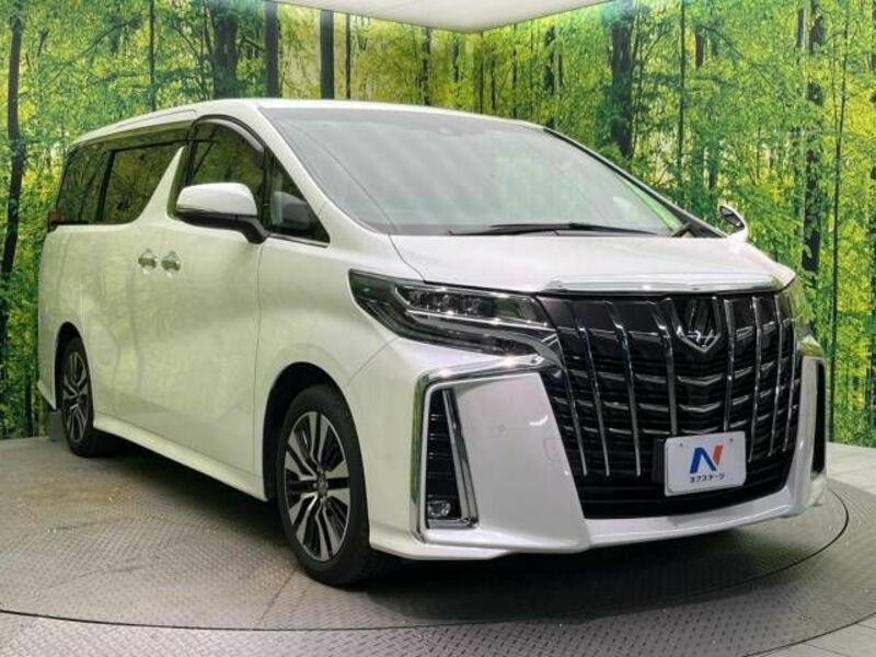 ALPHARD-17