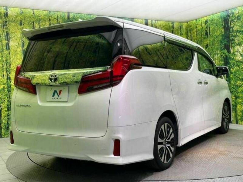 ALPHARD-18