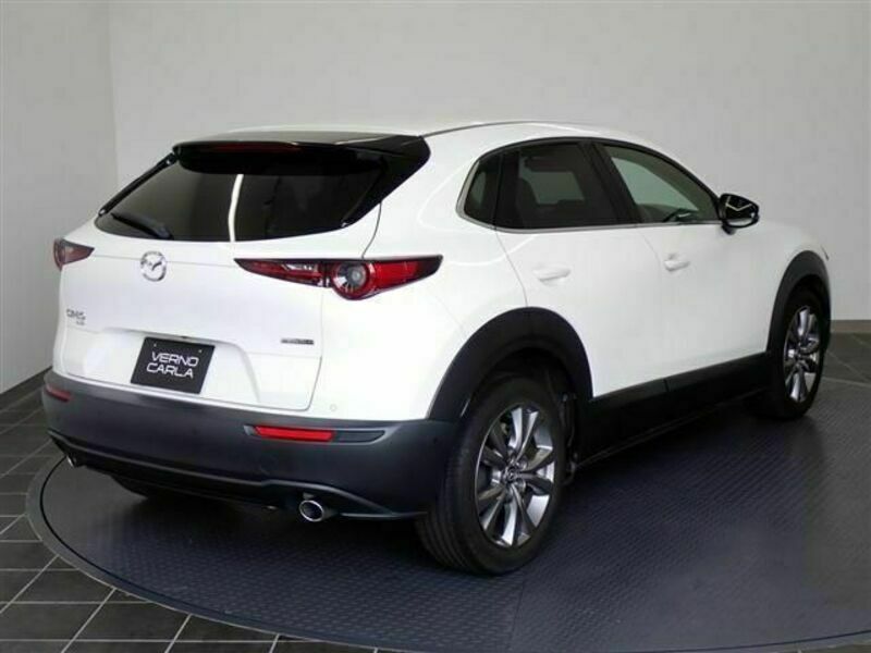 CX-30-3