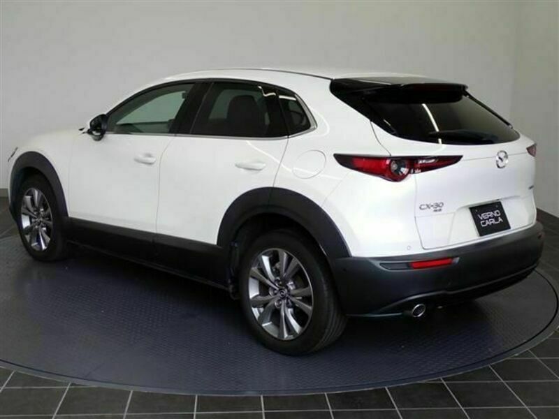 CX-30-6