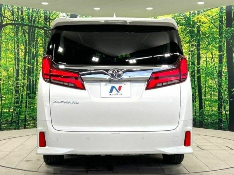 ALPHARD-16