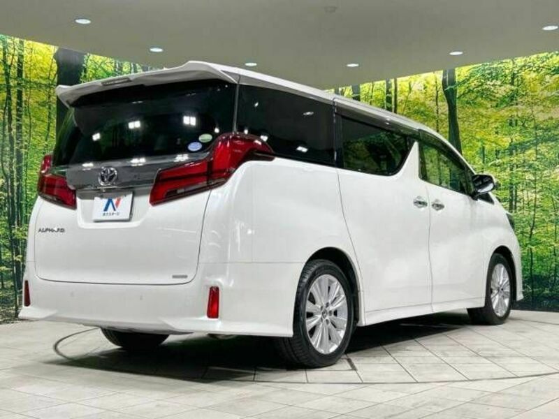 ALPHARD-18