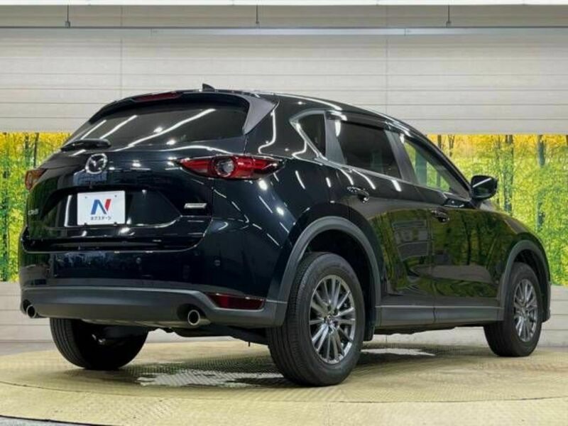 CX-5-17