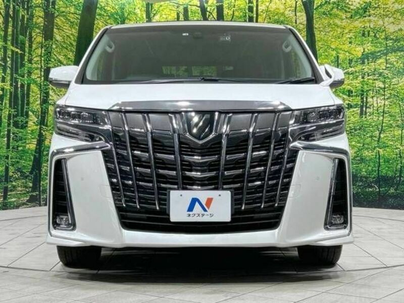 ALPHARD-15