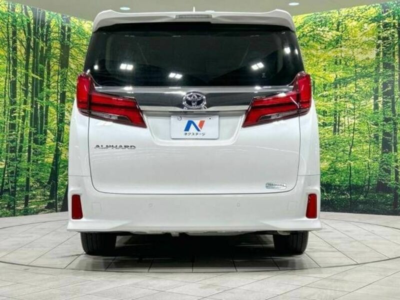 ALPHARD-16