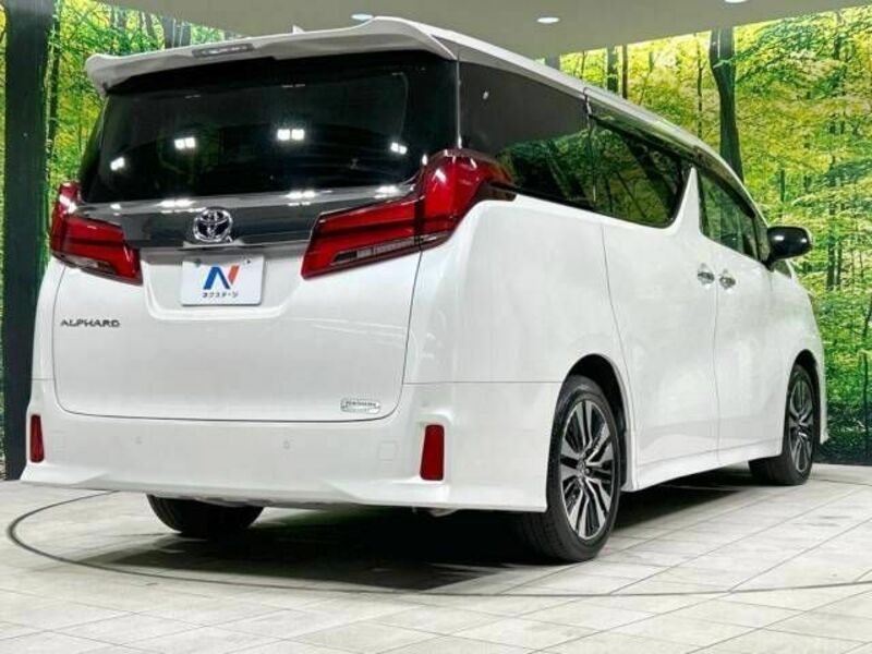 ALPHARD-18