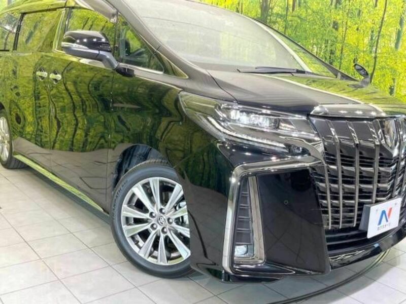 ALPHARD-12