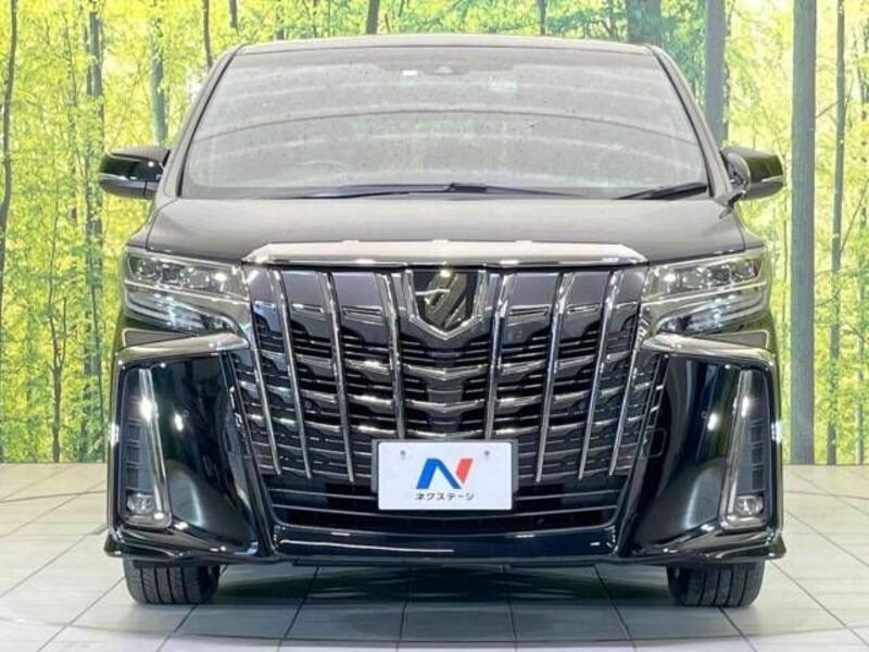 ALPHARD-14