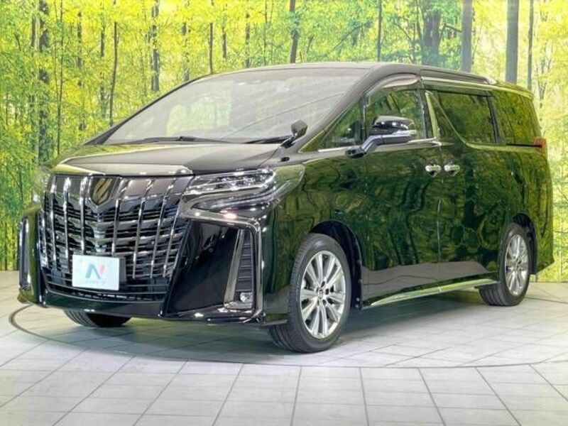 ALPHARD-16