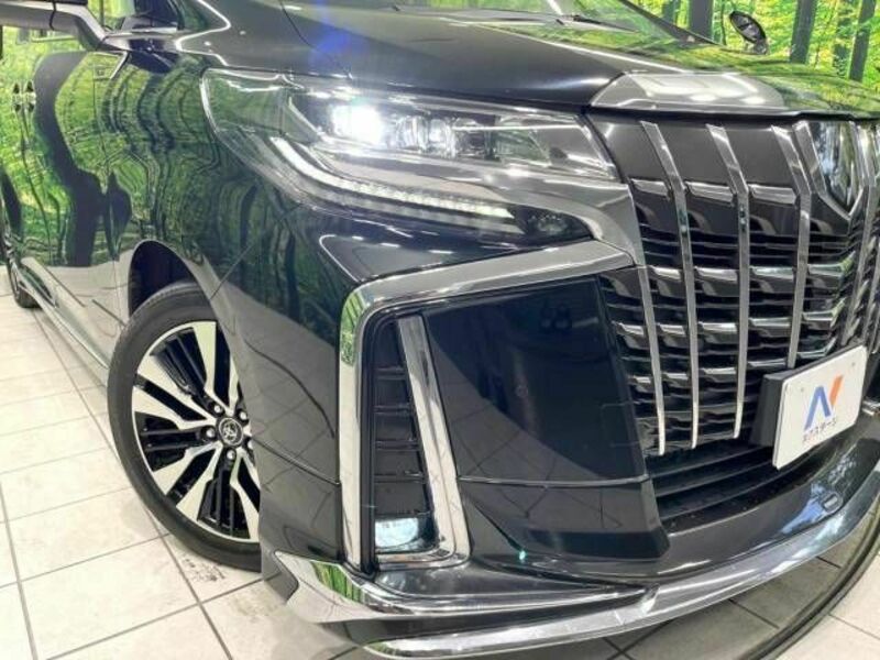 ALPHARD-12