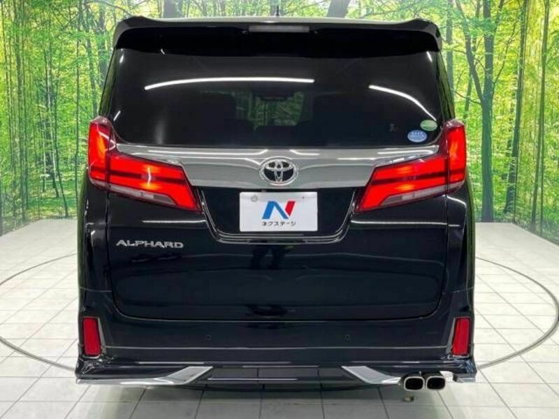 ALPHARD-15