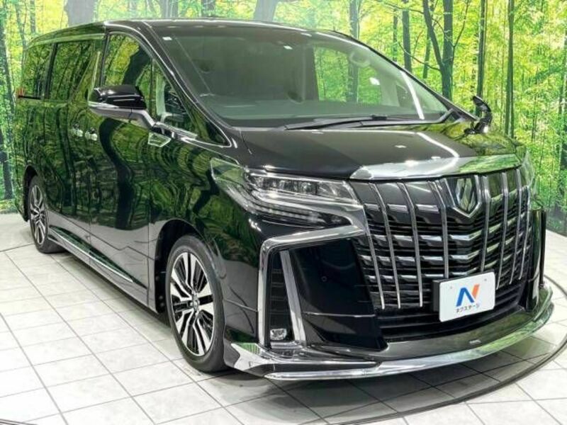 ALPHARD-16