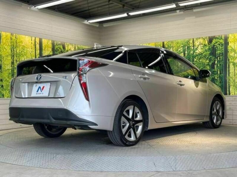 PRIUS-17