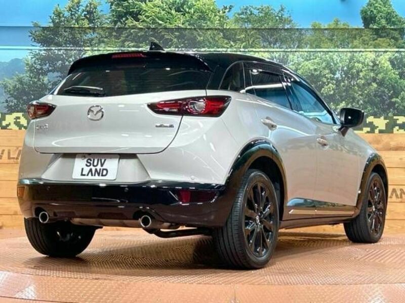 CX-3-17