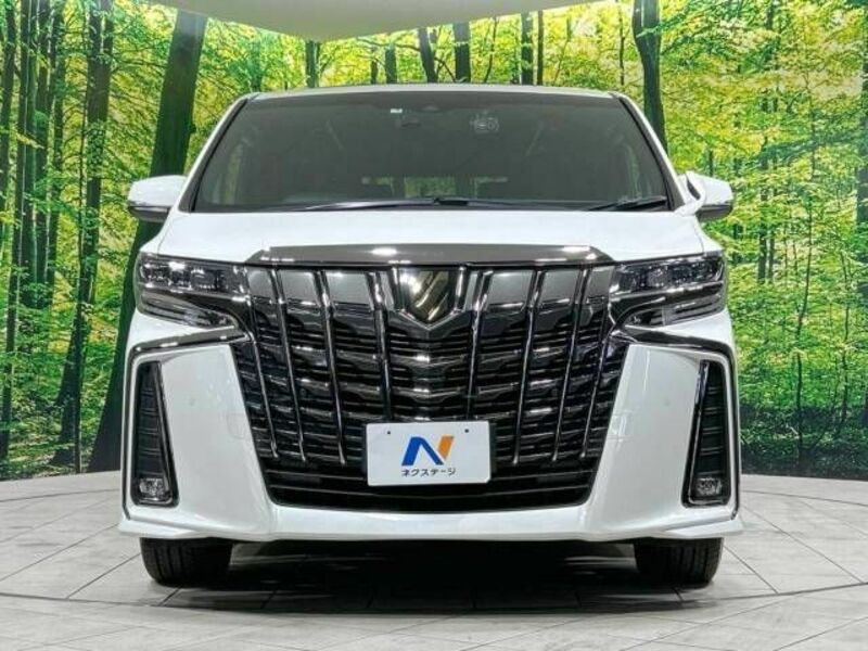 ALPHARD-14