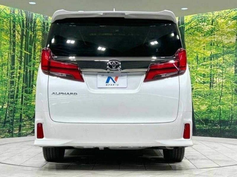 ALPHARD-15