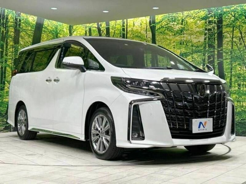 ALPHARD-16