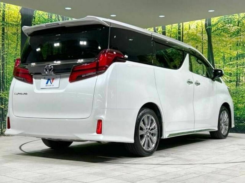 ALPHARD-17