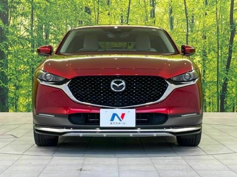 CX-30-15