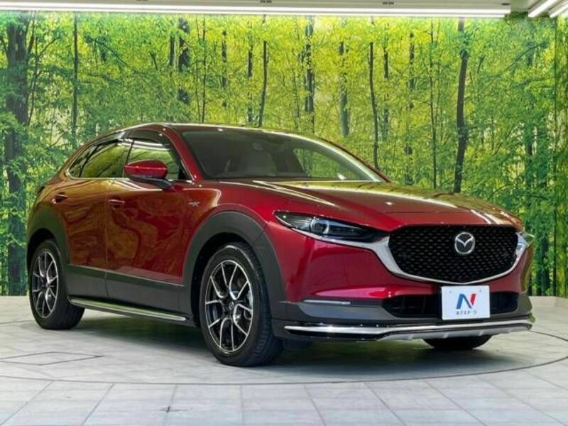 CX-30-17