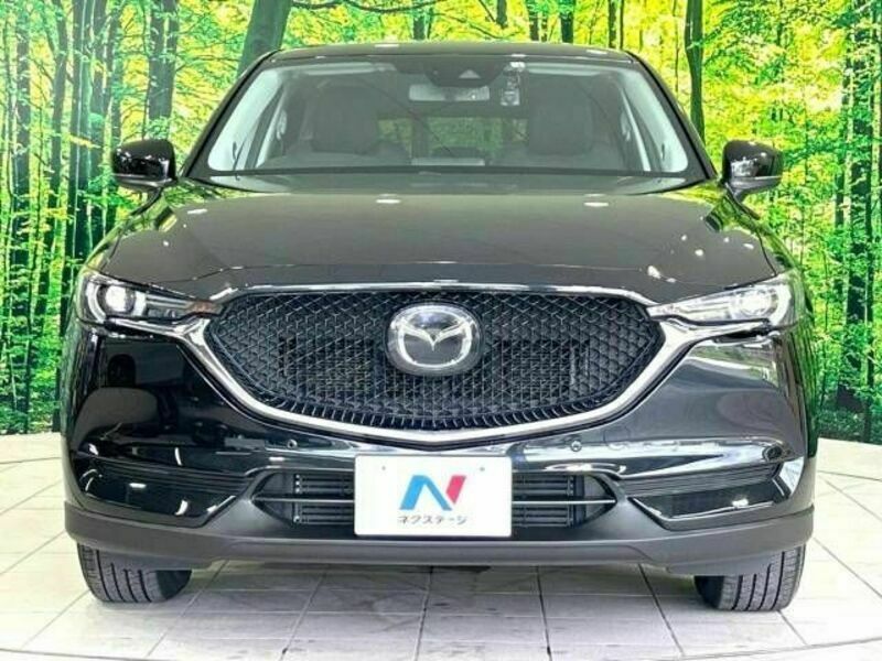 CX-5-14