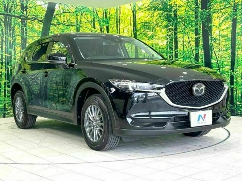 CX-5-16