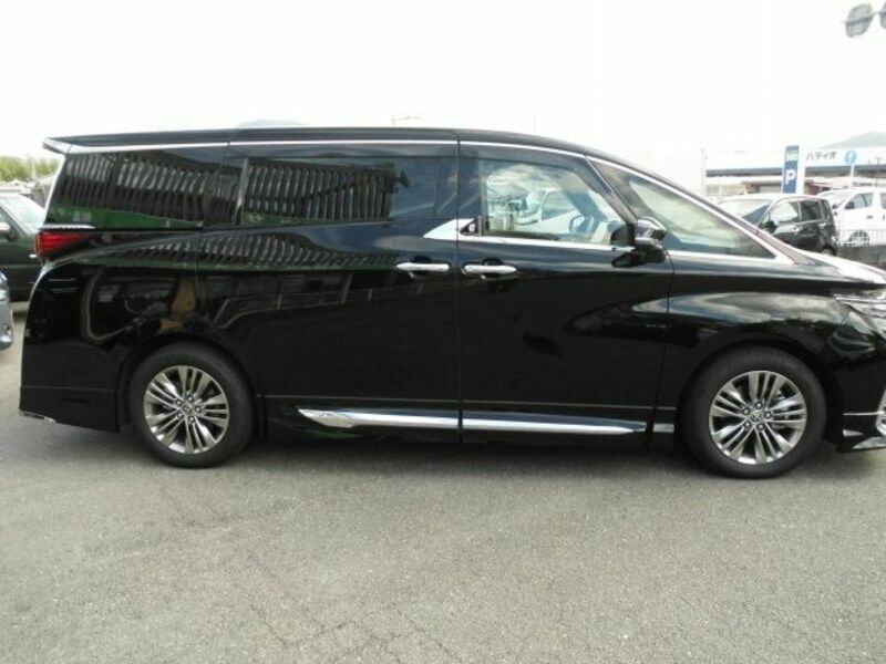 ALPHARD-6