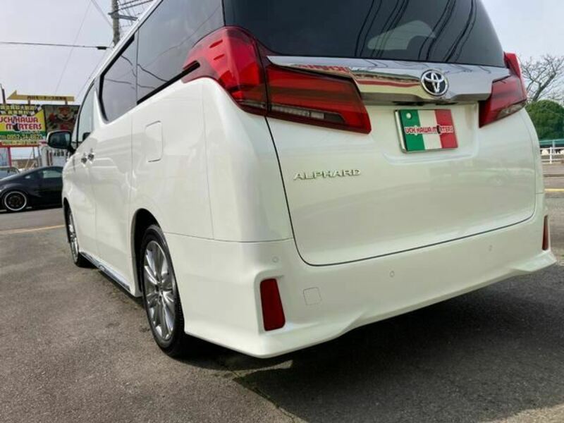 ALPHARD-10