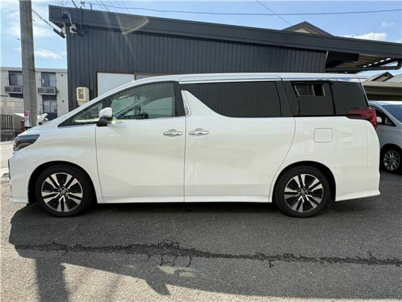 ALPHARD-17