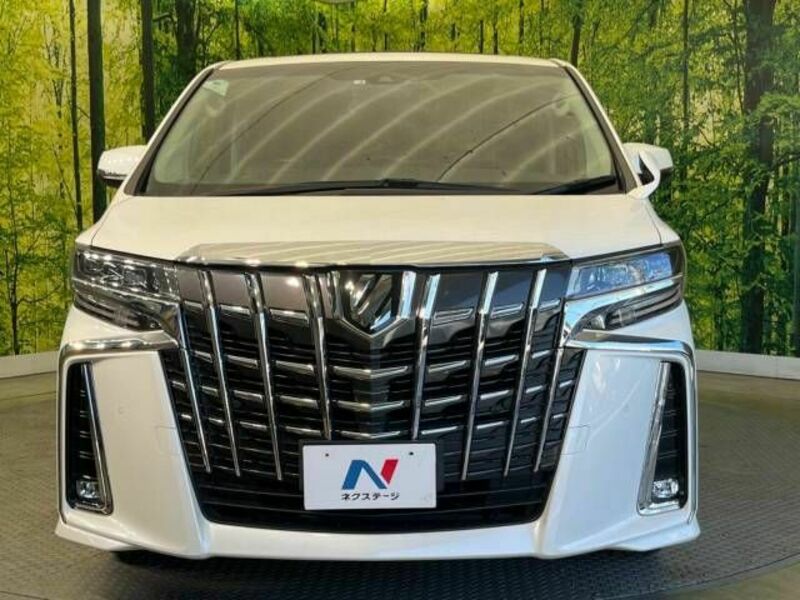 ALPHARD-15