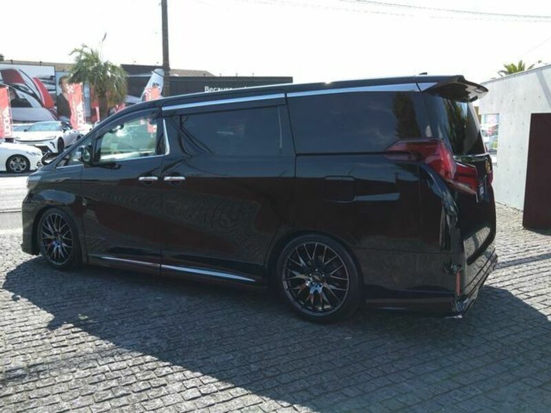 ALPHARD-3