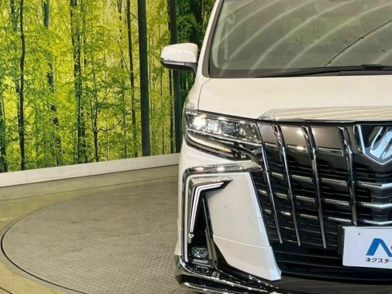 ALPHARD-13