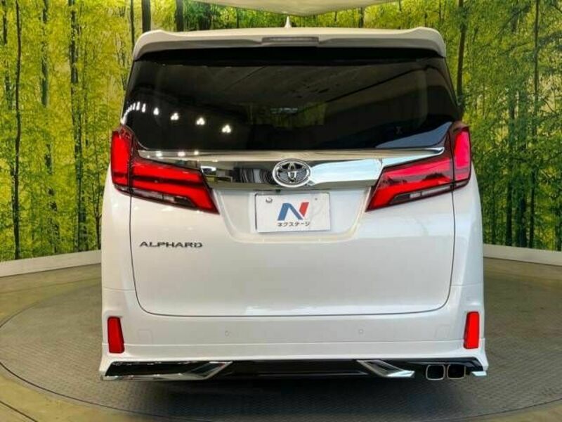 ALPHARD-16