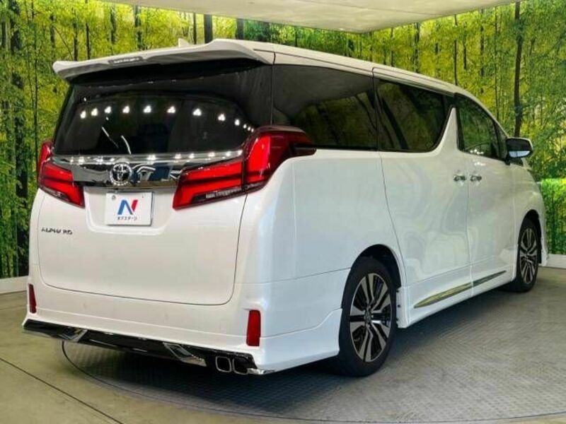 ALPHARD-18