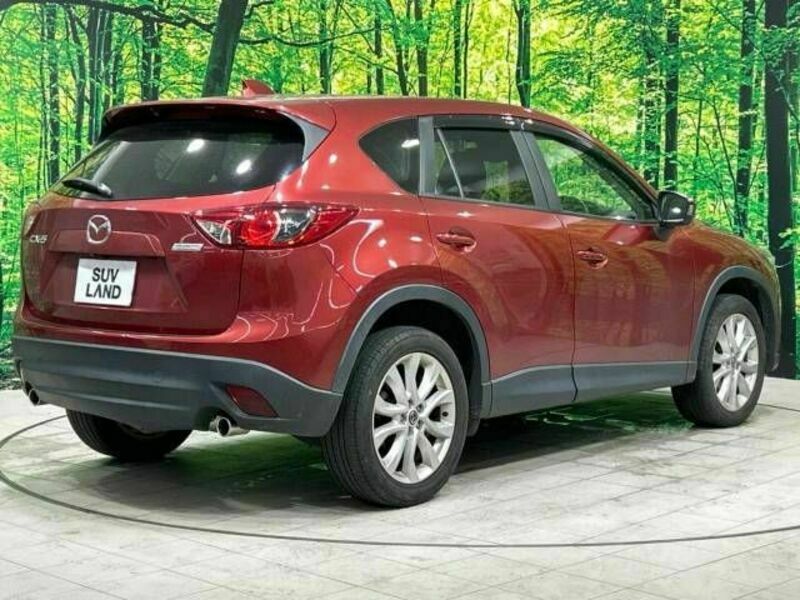 CX-5-17